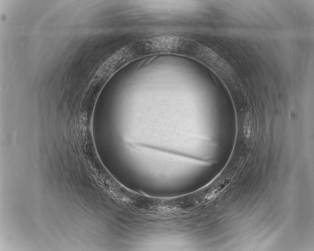 X0000060740737200511141132