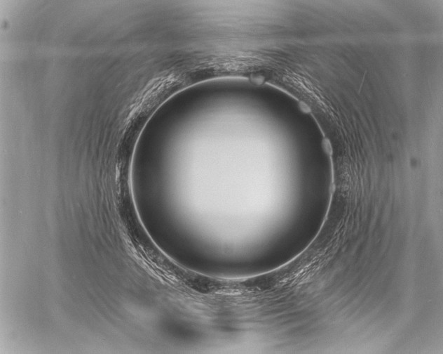 X0000060740738200511141132