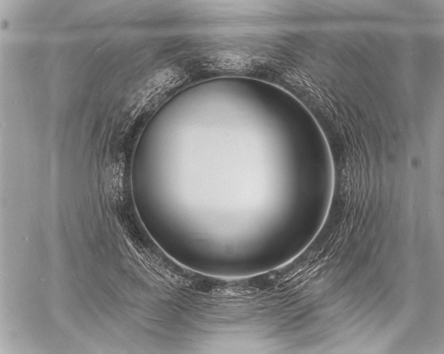 X0000060740739200511141132