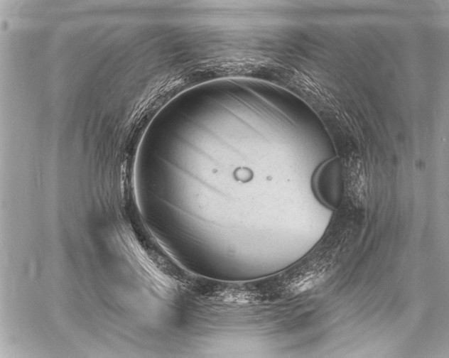 X0000060740742200511141132