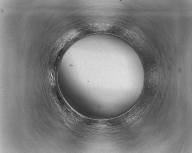 X0000060740743200511141132