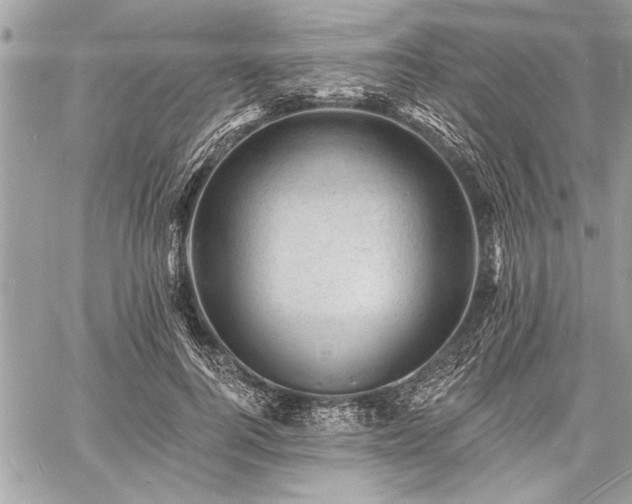 X0000060740744200511141132