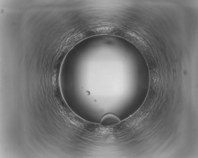 X0000060740745200511141132