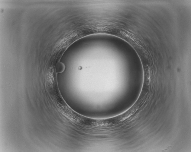 X0000060740746200511141132