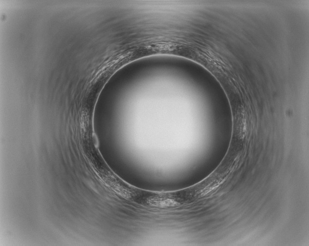 X0000060740747200511141132