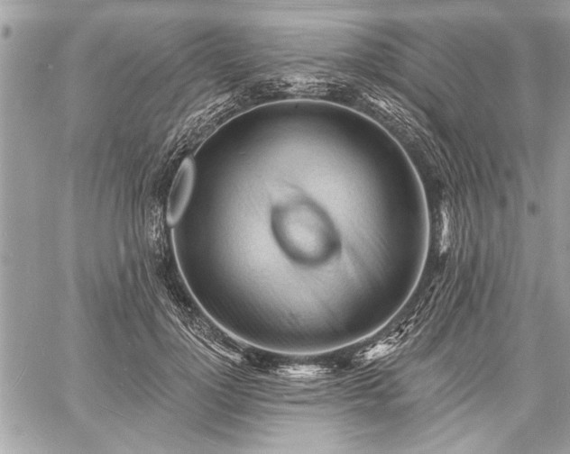 X0000060740748200511141132