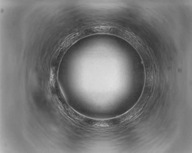 X0000060740749200511141132