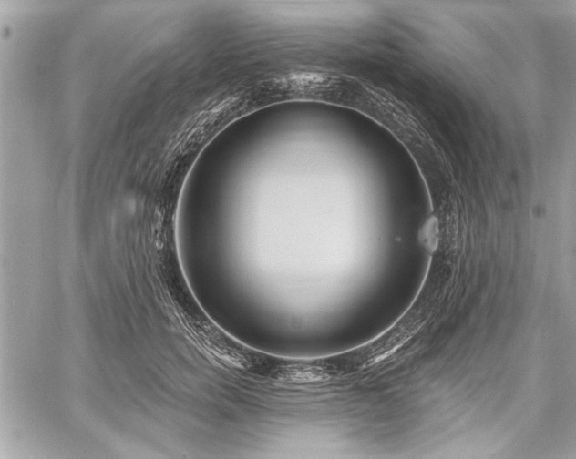 X0000060740750200511141132