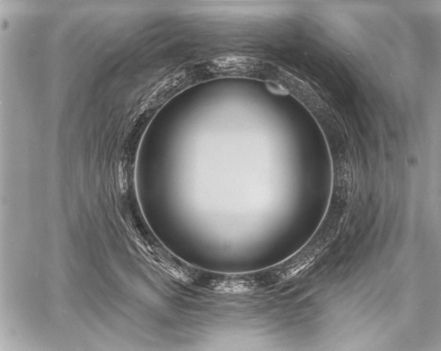 X0000060740751200511141132