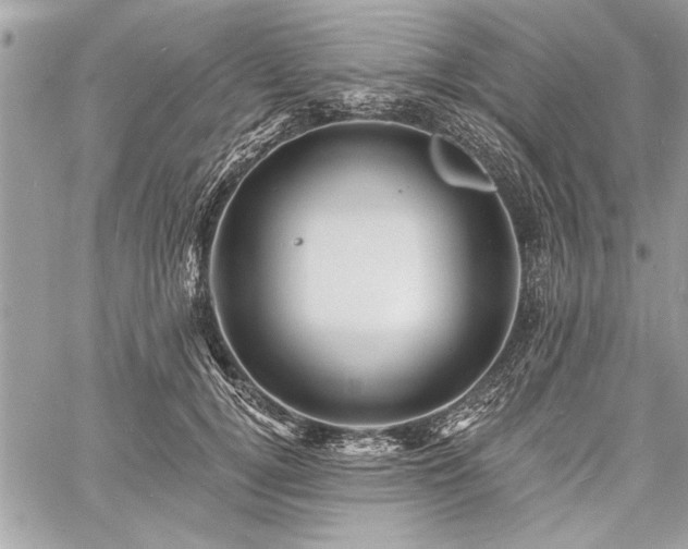 X0000060740752200511141132