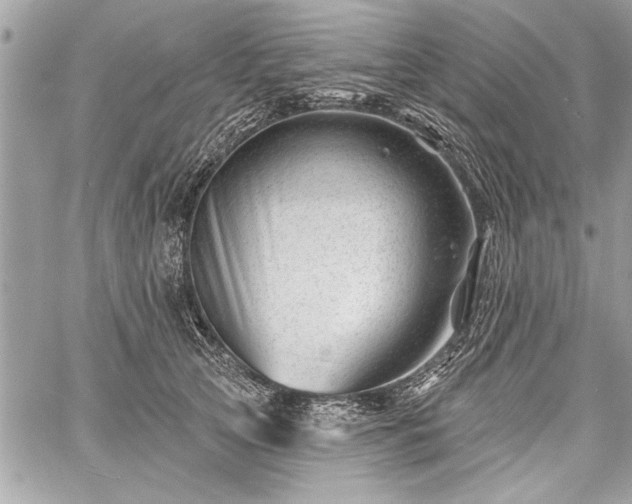 X0000060740753200511141132