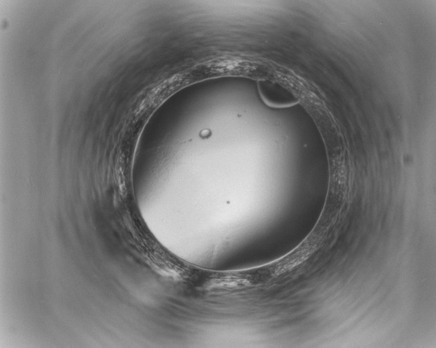 X0000060740754200511141132