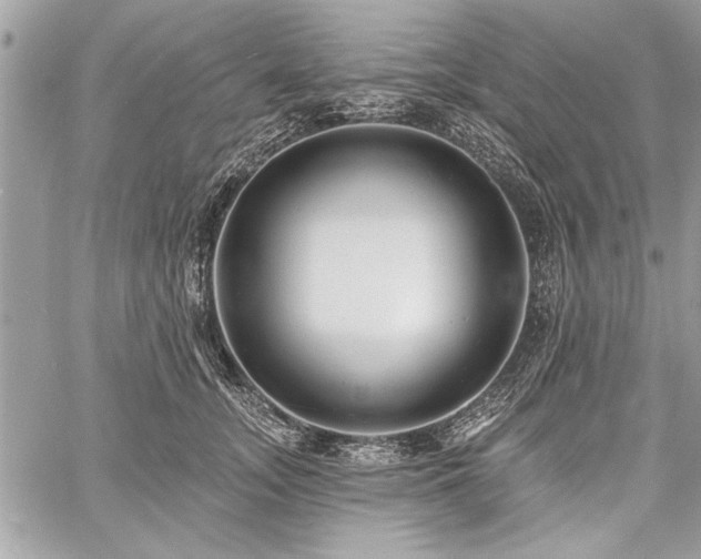 X0000060740755200511141132