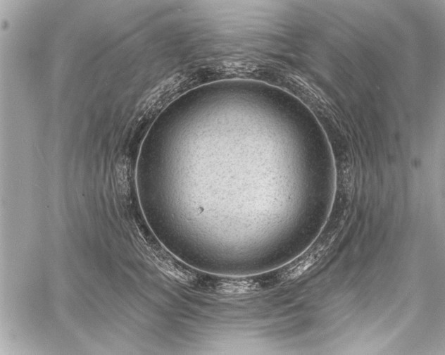 X0000060740757200511141133