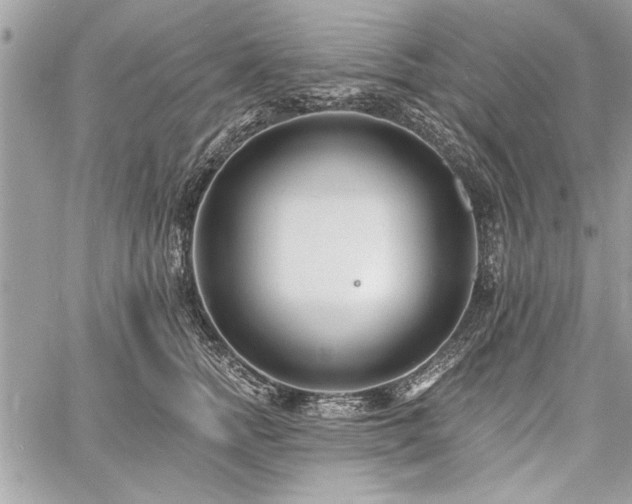 X0000060740758200511141133