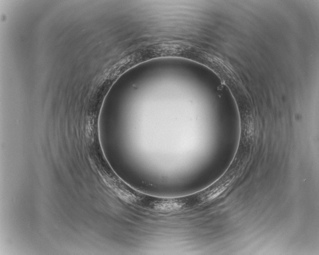 X0000060740759200511141133