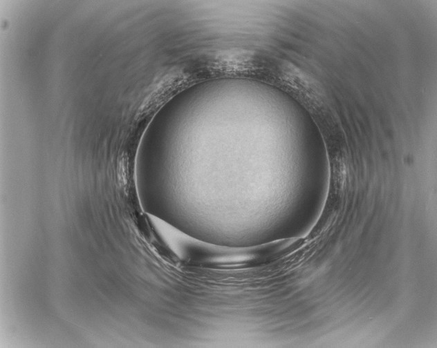 X0000060740760200511141133