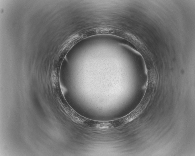 X0000060740761200511141133