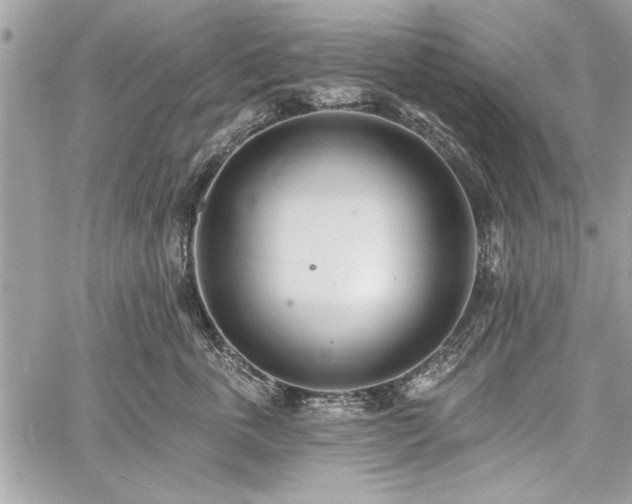 X0000060740763200511141133