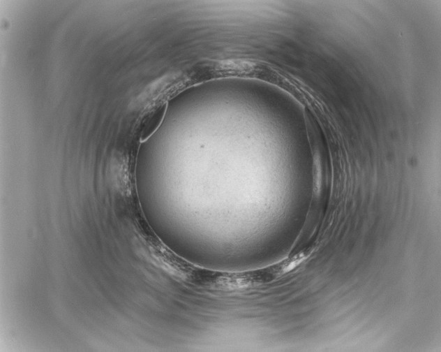 X0000060740764200511141133