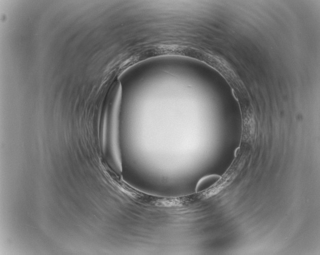 X0000060740765200511141133