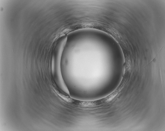 X0000060740766200511141133