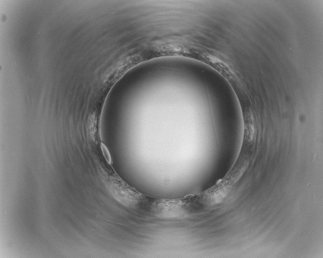 X0000060740767200511141133