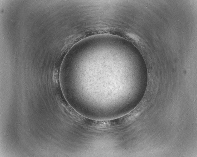 X0000060740768200511141133