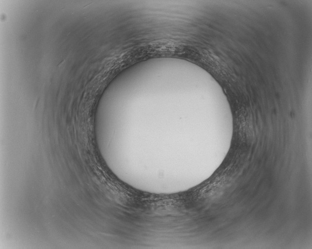 X0000060740769200511141132