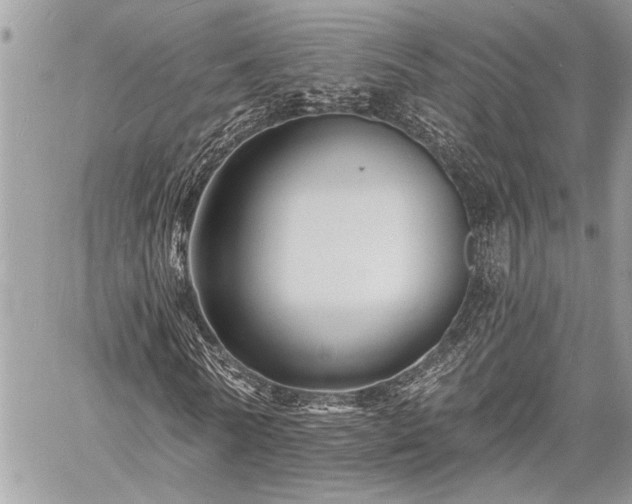 X0000060740770200511141132