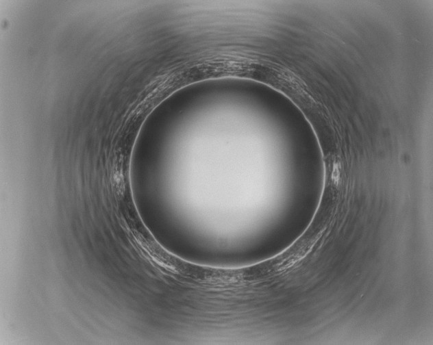 X0000060740771200511141132