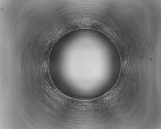 X0000060740772200511141132