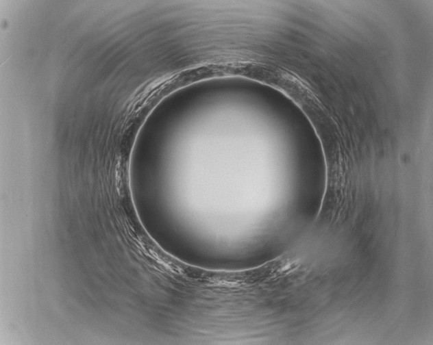 X0000060740773200511141132