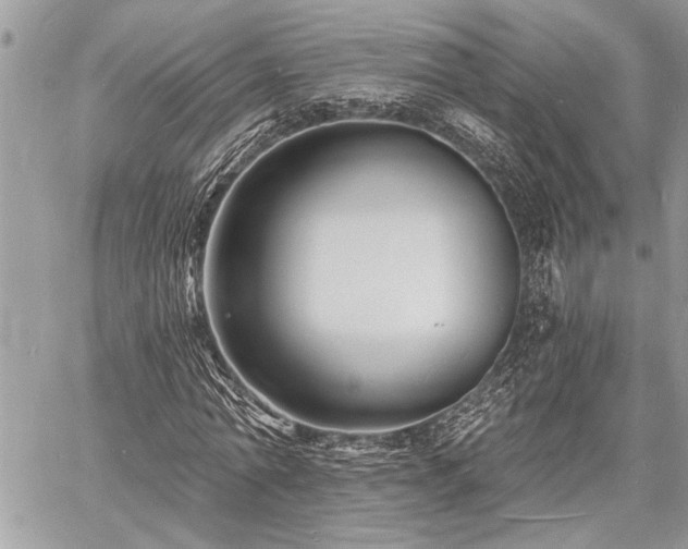 X0000060740774200511141132