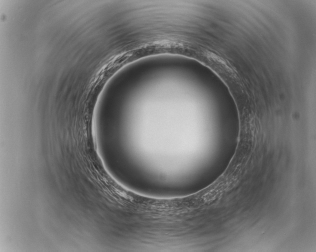 X0000060740776200511141132