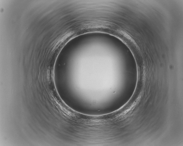 X0000060740777200511141132