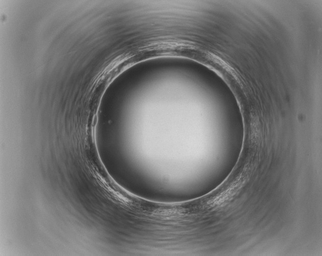 X0000060740778200511141132