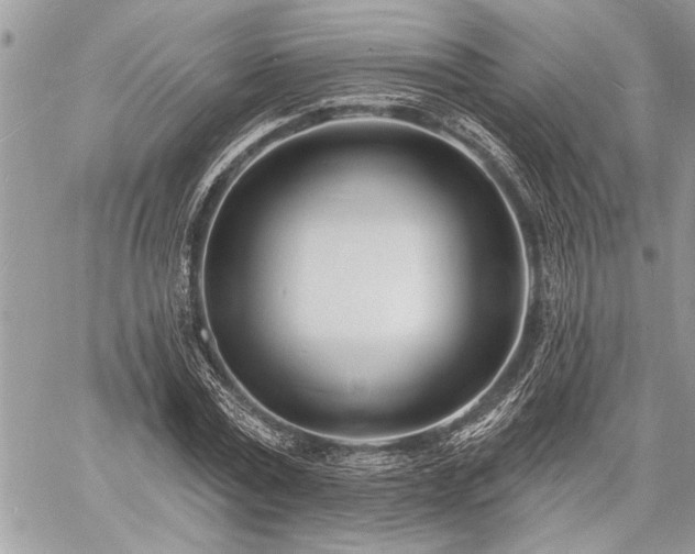 X0000060740779200511141132