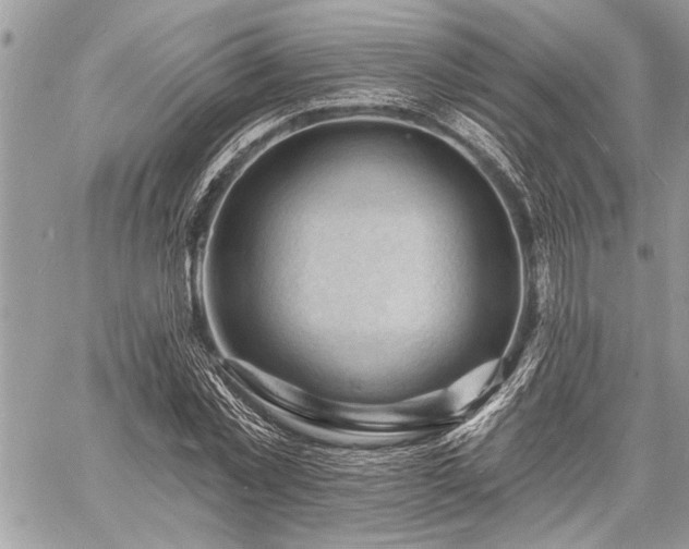 X0000060740781200511141132