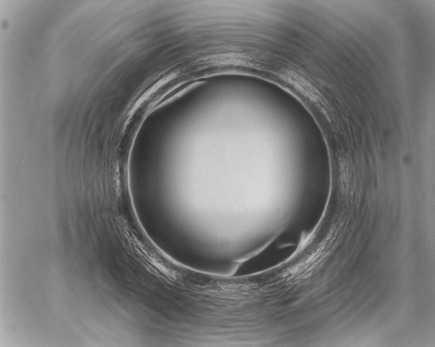 X0000060740782200511141132