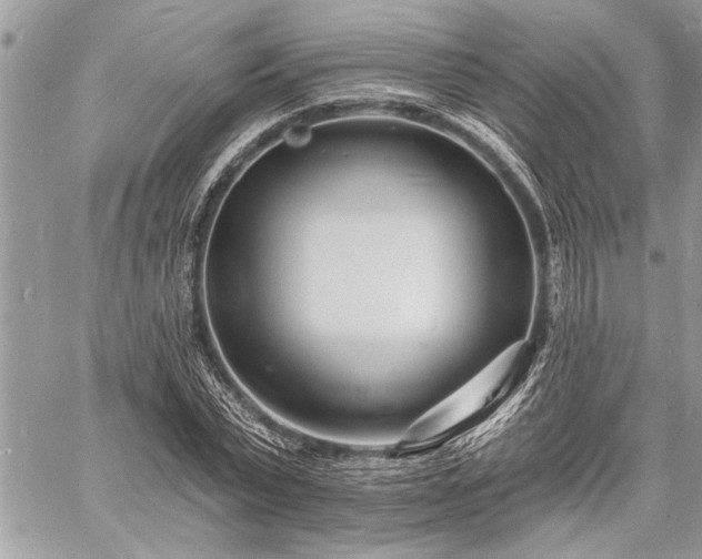 X0000060740783200511141132