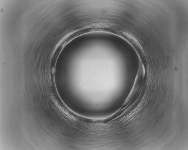 X0000060740784200511141132