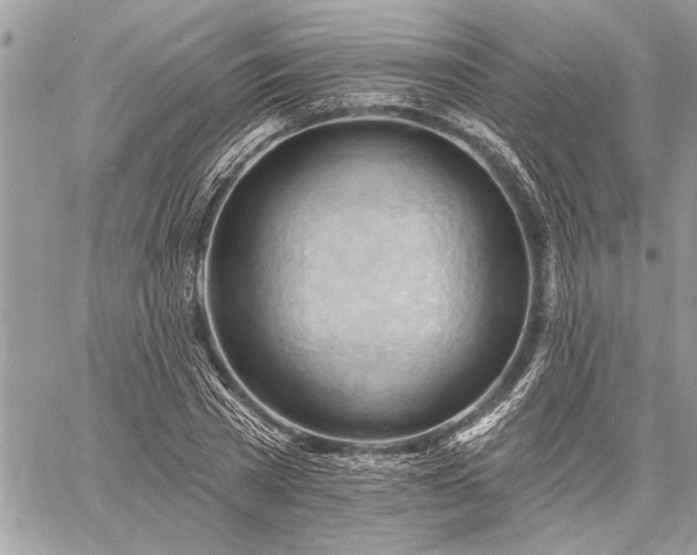 X0000060740785200511141132