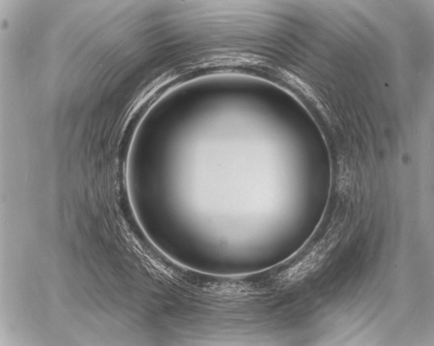 X0000060740786200511141132