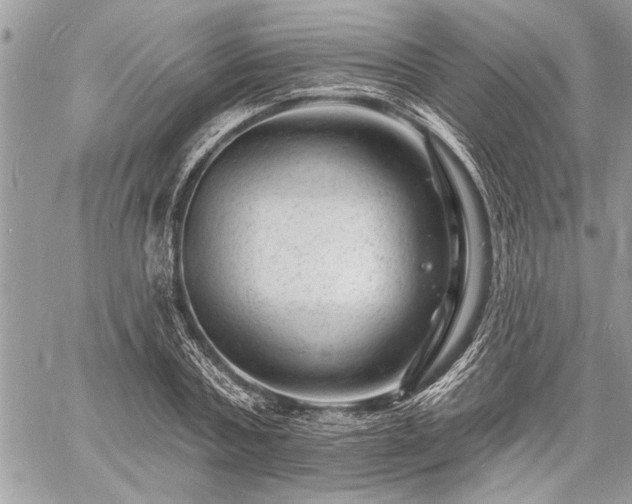 X0000060740787200511141132