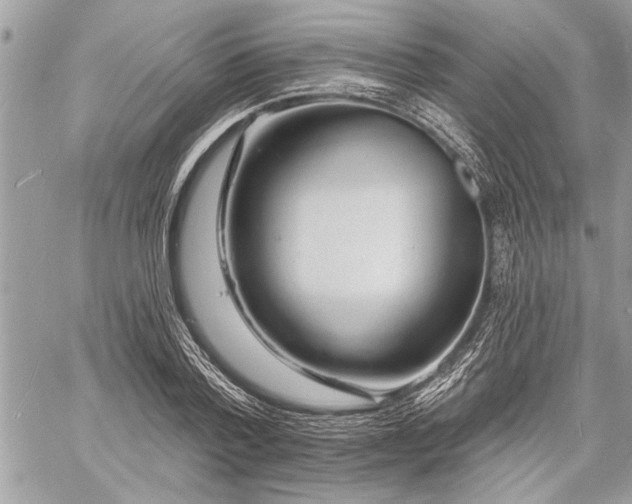 X0000060740788200511141132