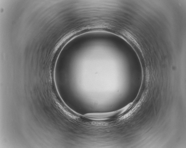 X0000060740789200511141132