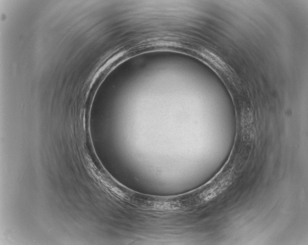 X0000060740790200511141132