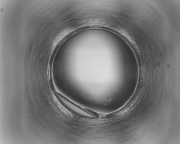 X0000060740791200511141132