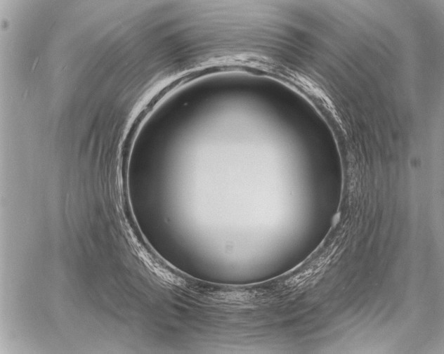 X0000060740792200511141132